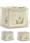 SALE!  "A Block to Grow On" Bank - in blue, yellow, or pink